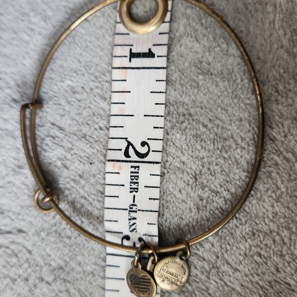 Alex & Ani Charm Bangles - Picture 3 of 5